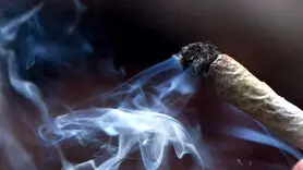 شرم این اعتیاد را گسترش می دهد