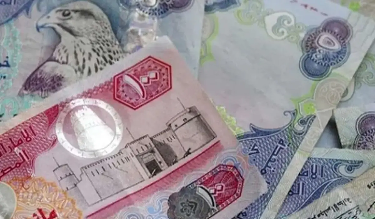درهم امارات چند؟ آخرین تغییرات قیمت درهم امارات چهارشنبه ۱۷ بهمن