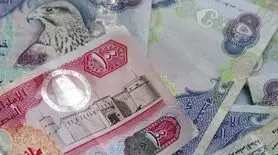 درهم امارات چند؟ آخرین تغییرات قیمت درهم امارات چهارشنبه ۱۷ بهمن