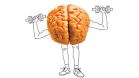 تقویت حافظه از راهی که فکرش را هم نمی کنید