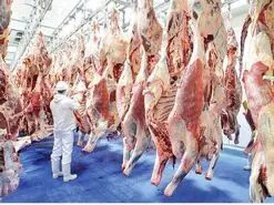 آخرین قیمت گوشت قرمز و گوشت مرغ و تخم مرغ در بازار 