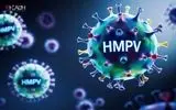 ویروس HMPV تهدیدی جدی برای سیستم تنفسی یا فقط یک سرماخوردگی ساده؟