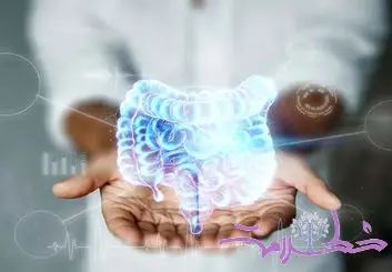 افراد انعطاف‌پذیر و تاب آور چرا کمتر دچار مشکلات گوارشی می شوند؟ 