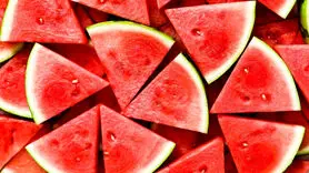 خاصیت فوق العاده هندوانه ، طالبی و گرمک بر سلامت + شیوه بهترین انتخاب