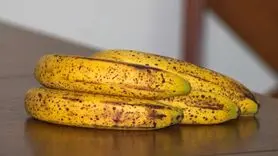 فواید بی نظیر موز خال دار بر سلامتی