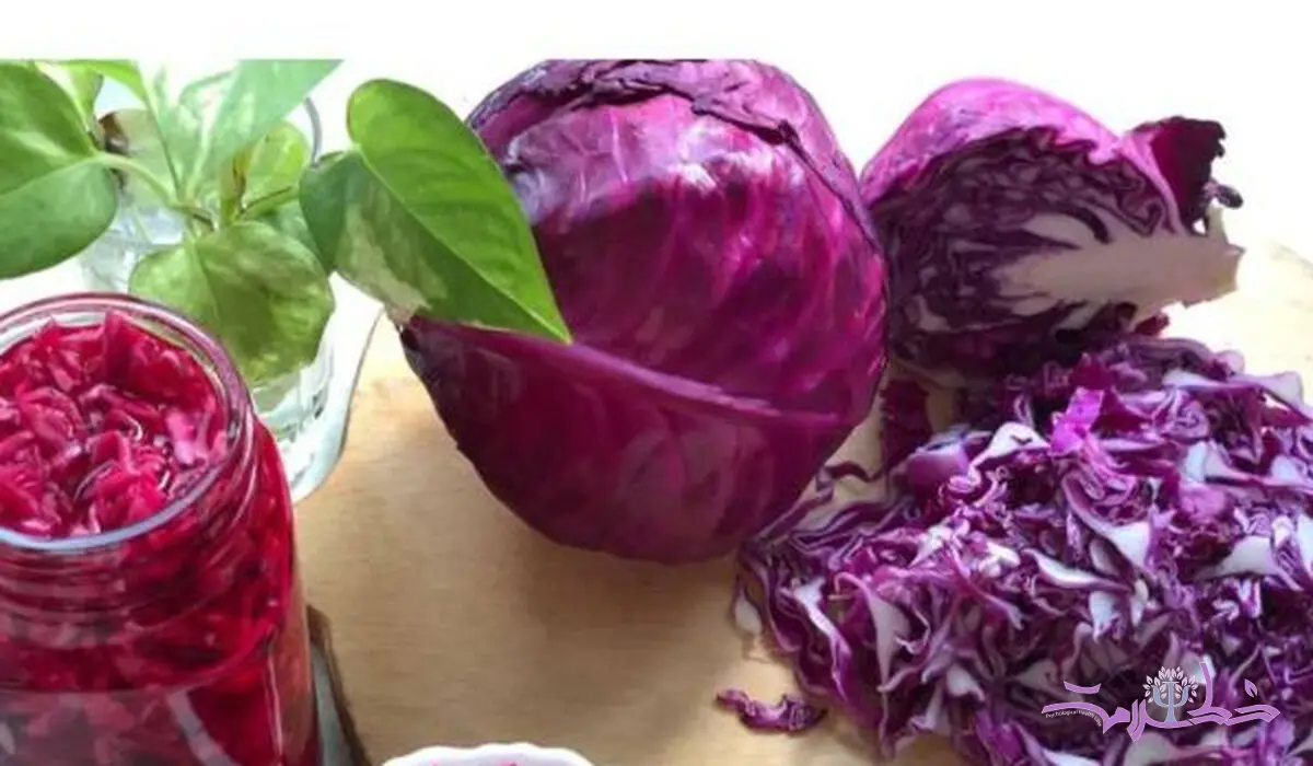 طرز تهیه ترشی کلم قرمز به شیوه ای متفاوت / کم کالری پر خاصیت