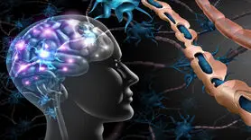 افسانه های رایج در مورد بیماری ام اس + در ام اس چه اتفاقی می افتد؟