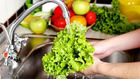برای سم زدایی 3 روزه چه غذاهایی را باید بخورید؟