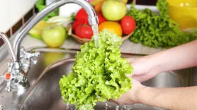 برای سم زدایی 3 روزه چه غذاهایی را باید بخورید؟