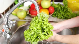 برای سم زدایی 3 روزه چه غذاهایی را باید بخورید؟