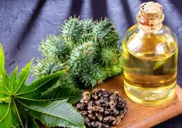 با این 3 خاصیت روغن کرچک اصل را تشخیص دهید