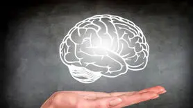 رژیم غذایی ناسالم مغز را افسرده و مضطرب می کند