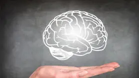 رژیم غذایی ناسالم مغز را افسرده و مضطرب می کند