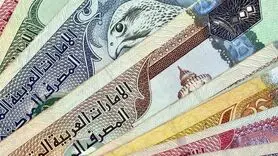 درهم امارات چند؟ / آخرین قیمت درهم امارات امروز یکشنبه 22 مهر 1403