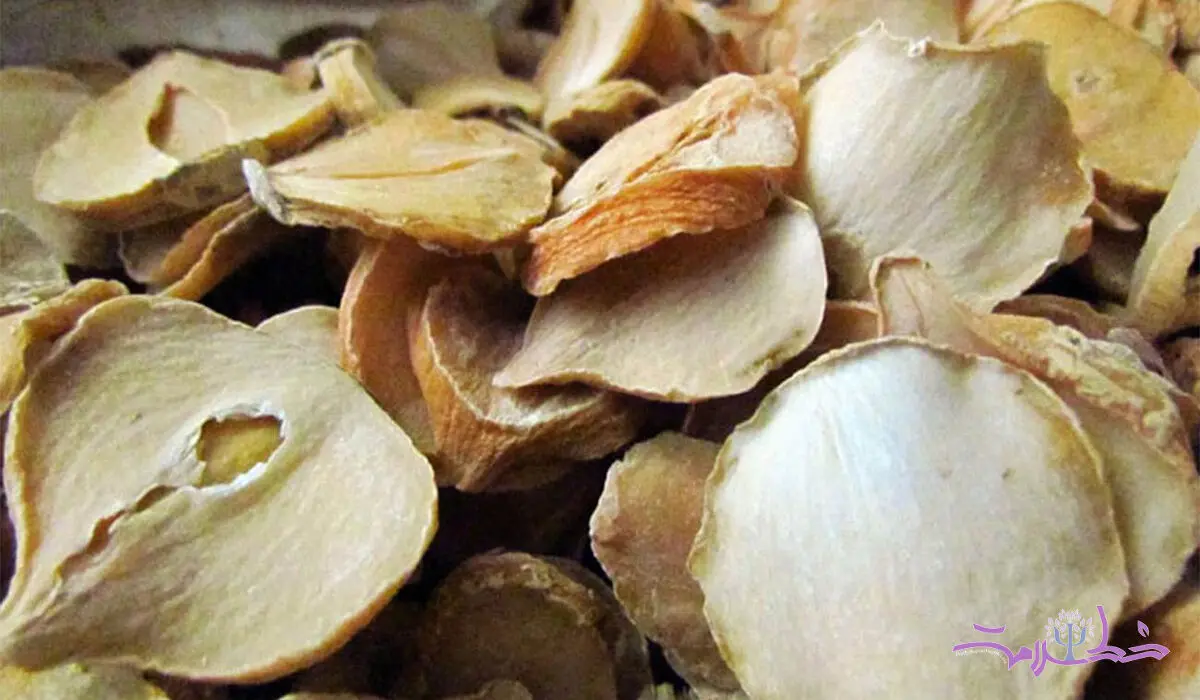 خواص شگفت انگیز موسیر در طب سنتی