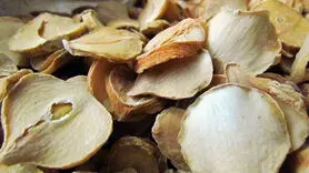 خواص شگفت انگیز موسیر در طب سنتی