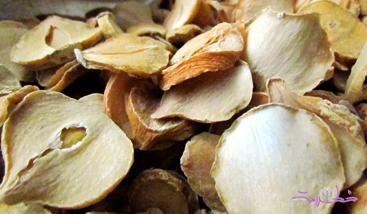 خواص شگفت انگیز موسیر در طب سنتی