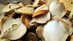 خواص شگفت انگیز موسیر در طب سنتی