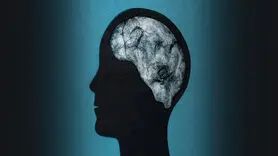 آیا تب‌ باعث آسیب مغزی می‌شود؟ حقیقتی که باید بدانید
