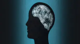 آیا تب‌ باعث آسیب مغزی می‌شود؟ حقیقتی که باید بدانید
