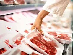 دلایل علمی استفاده از گوشت شتر مرغ