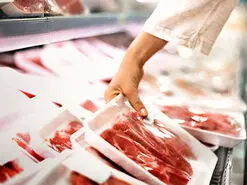 دلایل علمی استفاده از گوشت شتر مرغ