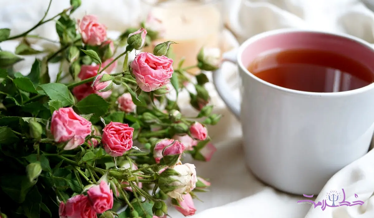 چای گل سرخ را تا کنون اشتباه آماده می کردید! + 3 روش علمی برای چای گل سرخ