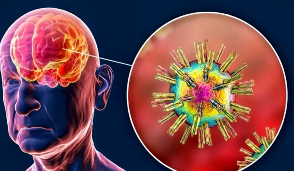 ضربه به جمجمه: بیداری غول‌های خفته ویروسی در مغز