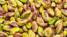 از خواص ضد پیری این آجیل غافل نشوید