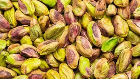 از خواص ضد پیری این آجیل غافل نشوید