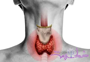 بهترین میوه‌ها برای سلامت تیروئید