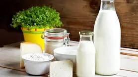 کدام شیر بیشترین پروتئین را دارد؟ 