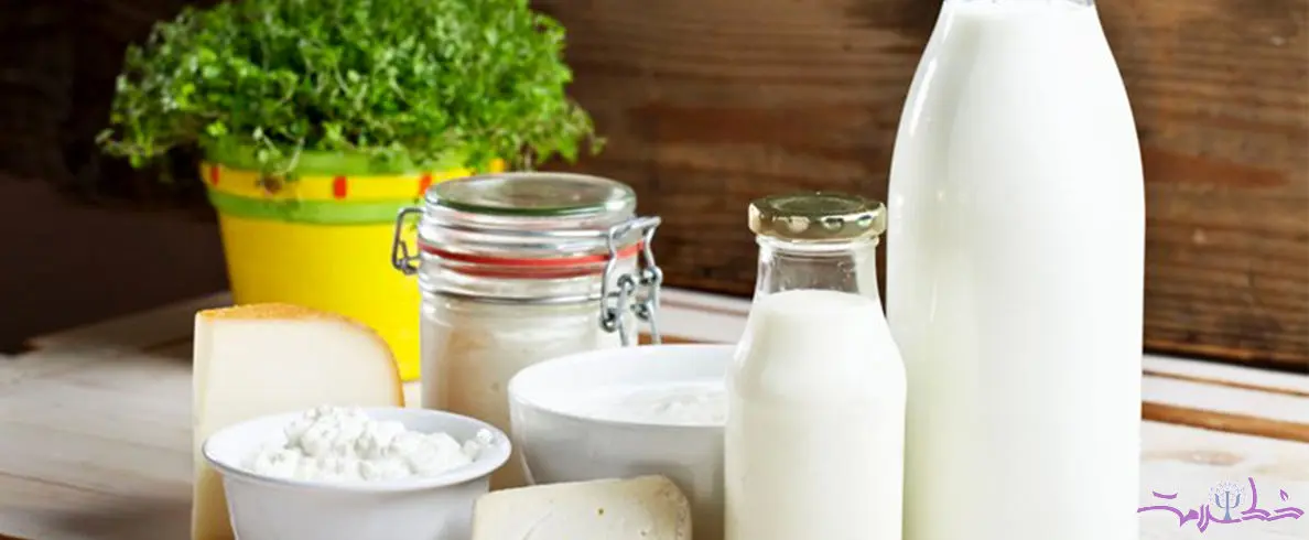 کدام شیر بیشترین پروتئین را دارد؟ 