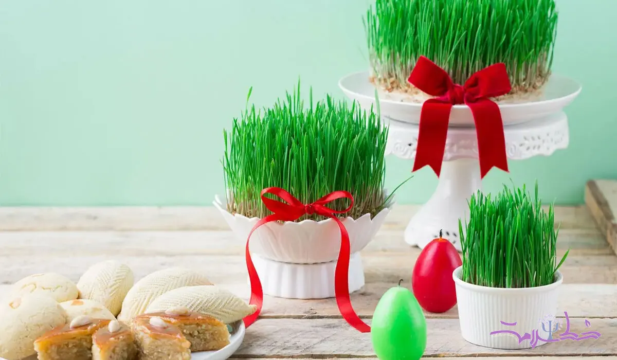 انواع سبزه عید انتخاب مناسب برای سفره هفت‌ سین