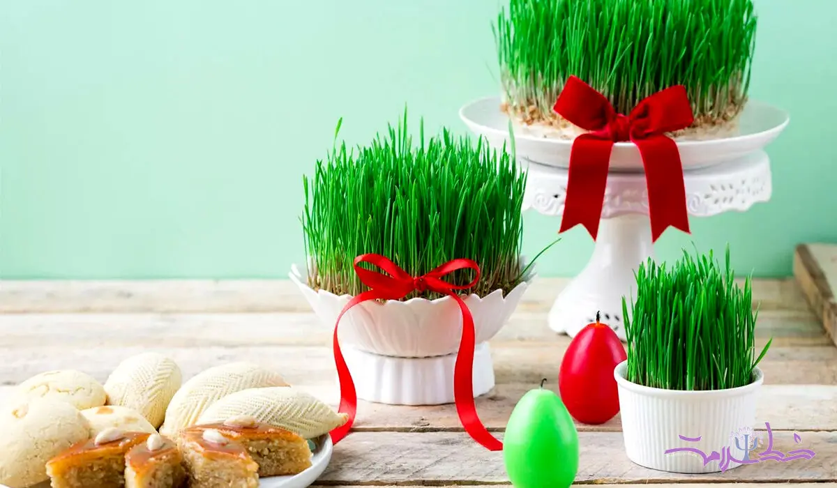 12 مدل سبزه ویژه عید نوروز + بهترین زمان کاشت سبزه عید