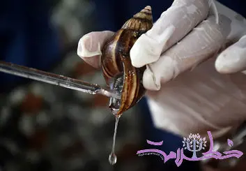 موسین حلزون چیست و چرا در محصولات مراقبت از پوست محبوب شده است؟