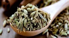 فواید رازیانه برای تسکین بیماری حرکت