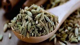 فواید رازیانه برای تسکین بیماری حرکت