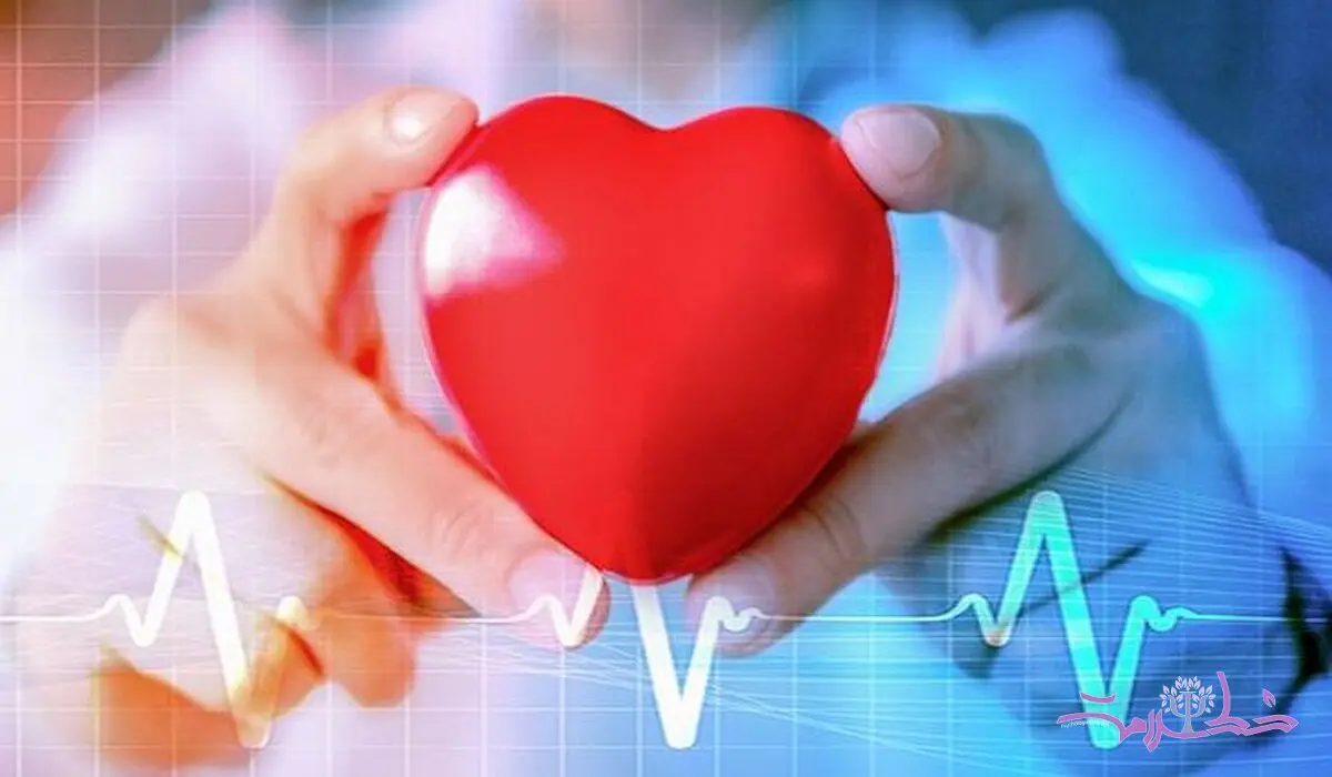بهترین و مضر ترین نوشیدنی ها برای تقویت قلب