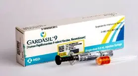 قیمت گارداسیل چند شده است!!