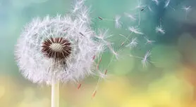 چرا یادگیری این ۱۰ درس بزرگ زندگی مهم است