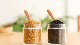 قوی ترین ترکیب طبیعی برای جلوگیری از ریزش مو و ضخیم شدن موهای نازک + فیلم