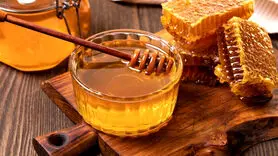 چرا عسل فاسد نمی‌شود؟ رازی شیرین و دیرینه