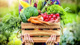 چگونه چربی شکم را آب کنید؟/بهترین سبزیجات را متخصصان لیست کردند