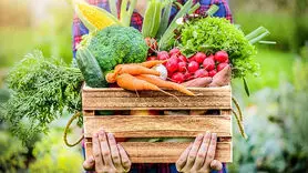 چگونه چربی شکم را آب کنید؟/بهترین سبزیجات را متخصصان لیست کردند