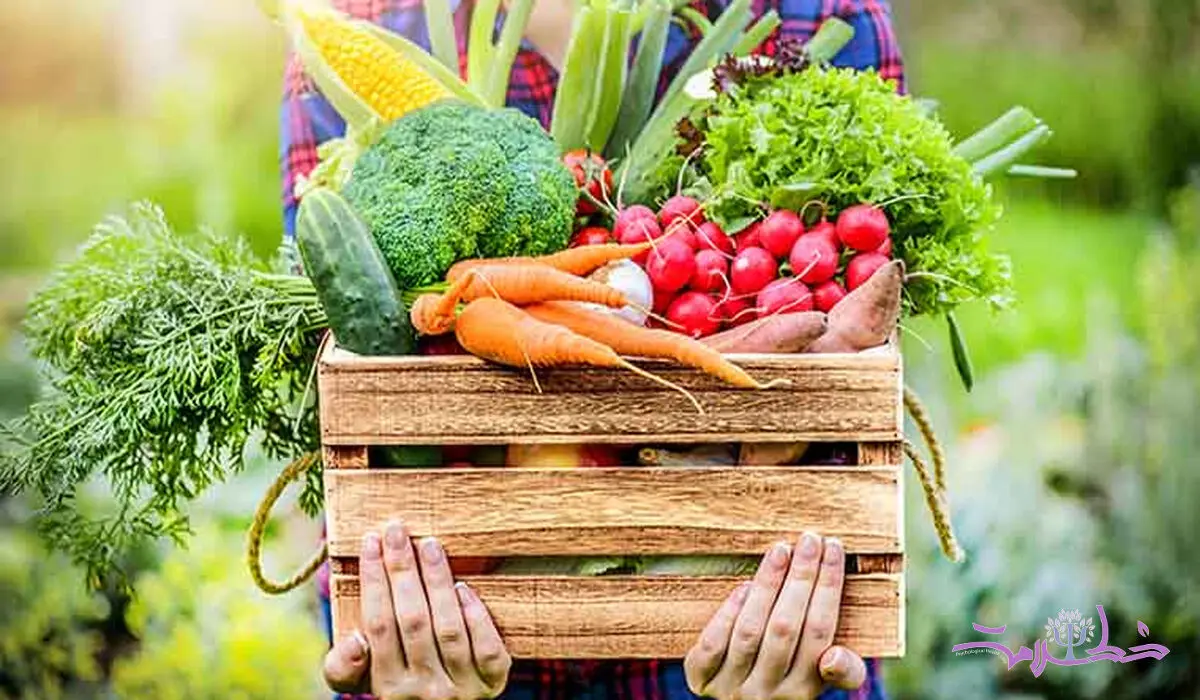 چگونه چربی شکم را آب کنید؟/بهترین سبزیجات را متخصصان لیست کردند