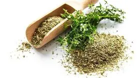 پادشاه گیاهان که قاتل افسردگی،عصبانیت ،فشارخون و بی خوابی است