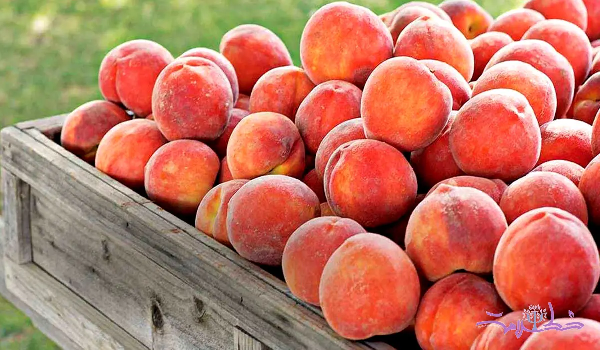 حساسیت به هلو چه علائمی دارد؟
