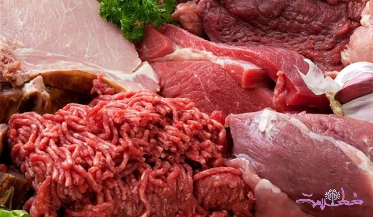 جایگزین های فرآوری‌شده گوشت برای قلب ضرر دارند؟