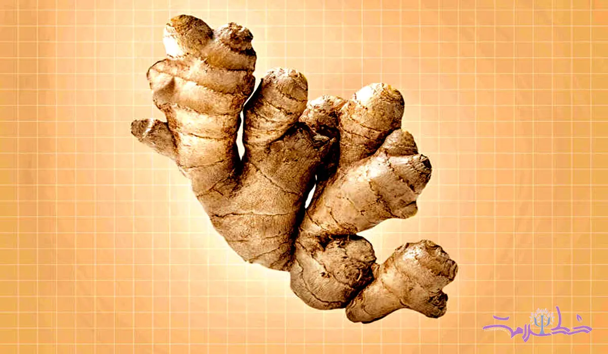 4 طریقه‌ای که زنجبیل بر داروها تأثیر می گذارد